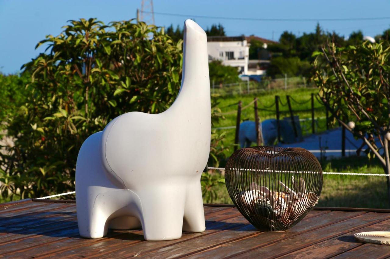 Les Chevaux De Coeur Bed & Breakfast Estepona Exterior photo